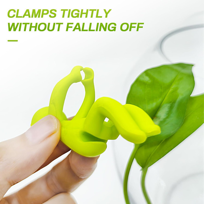 Hydroponic Plant Fixing Figuri - Home Office Layout review and price