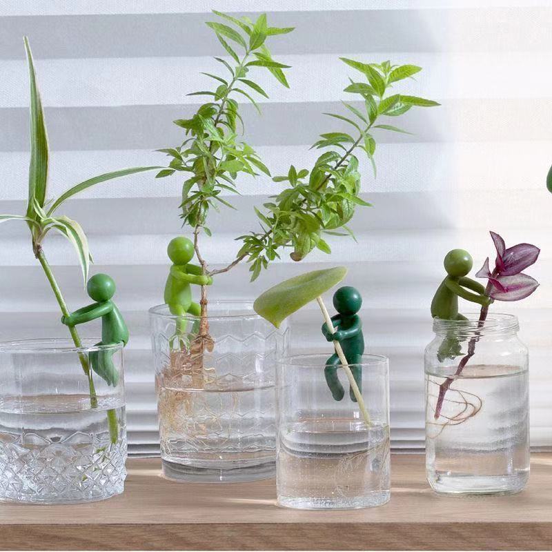 Hydroponic Plant Fixing Figuri - Home Office Layout review and price