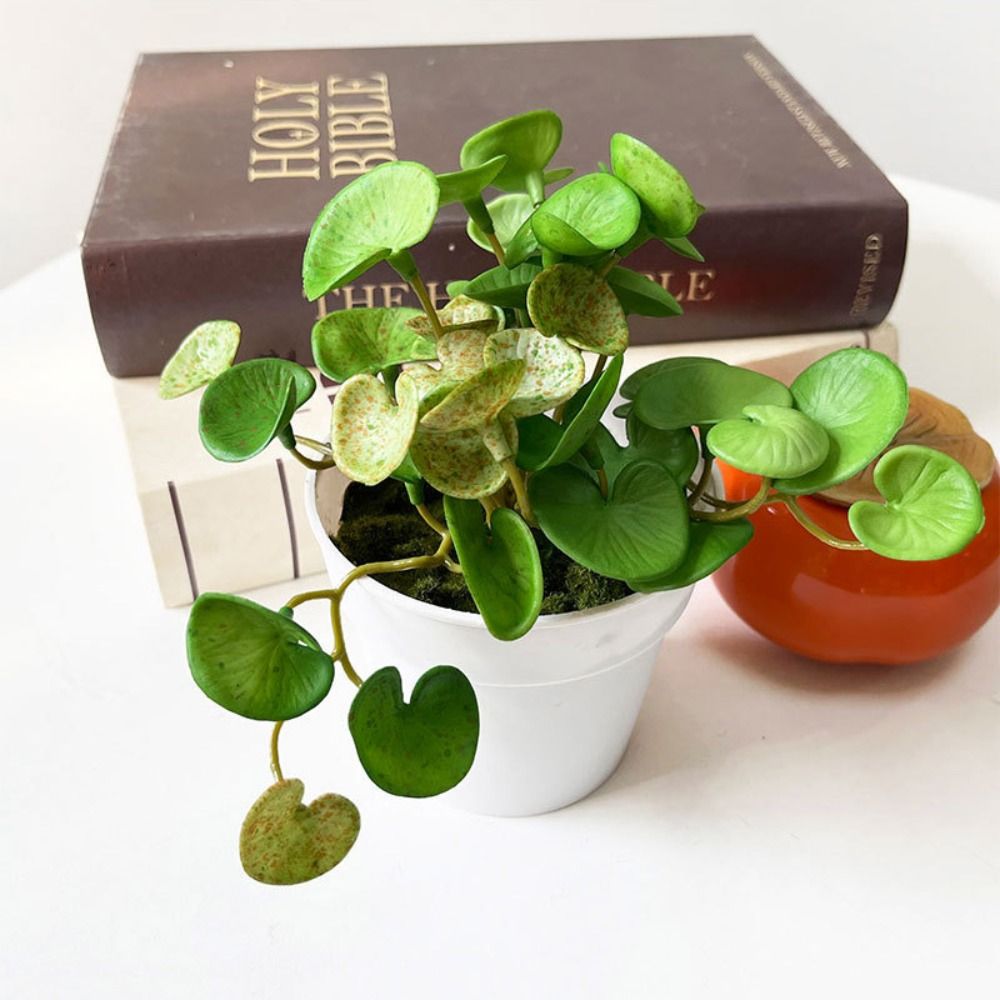 Soft Glue Artificial Plant EVA - Home Office Layout review and price