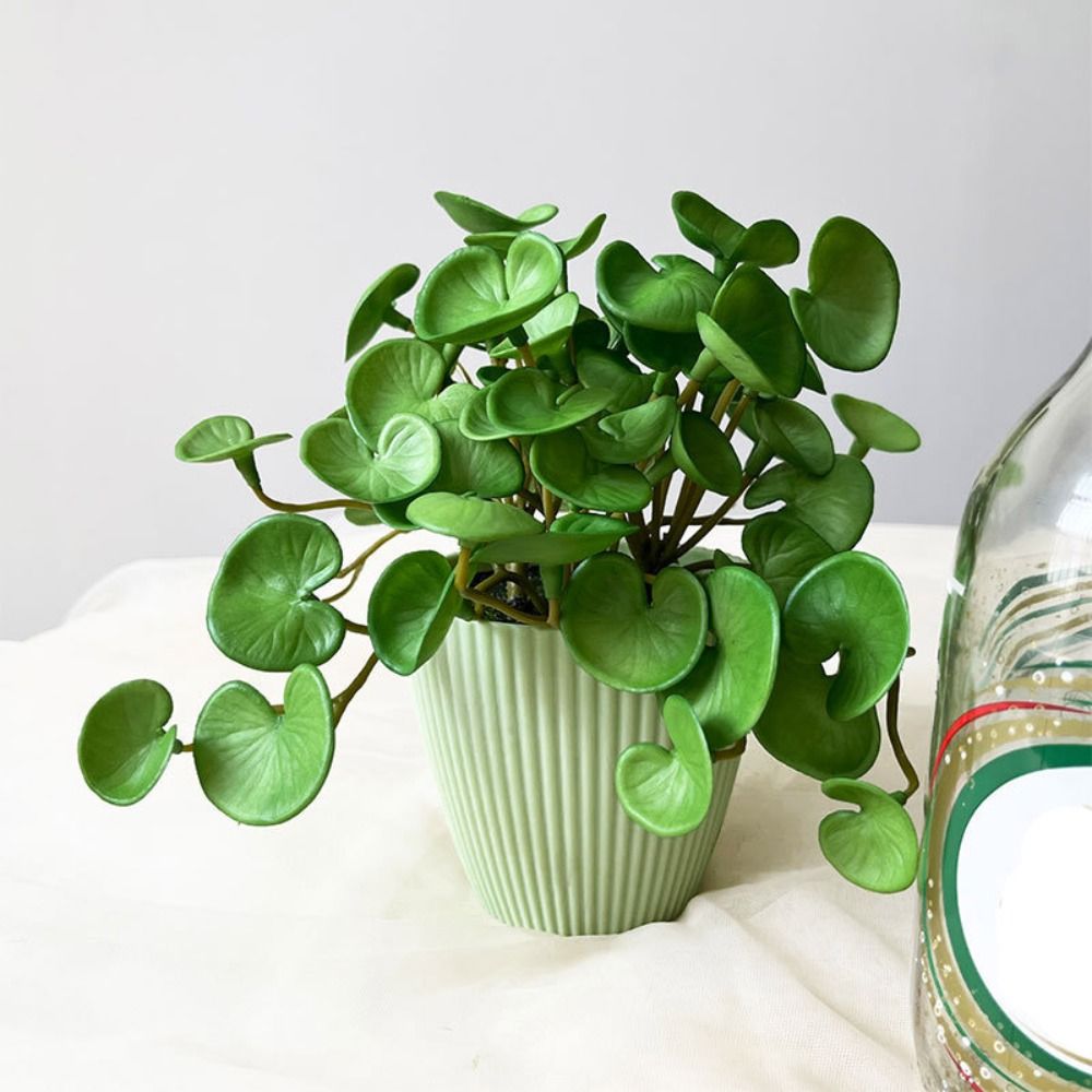 Soft Glue Artificial Plant EVA - Home Office Layout review and price
