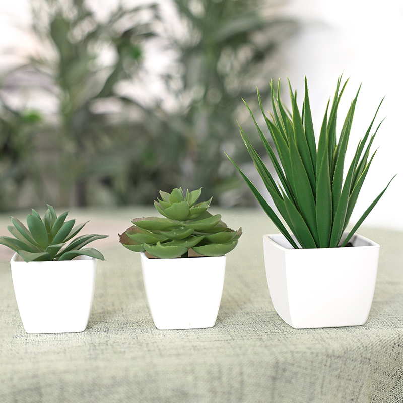 3PCS Artificial Evergreen Plan - Home Office Layout review and price