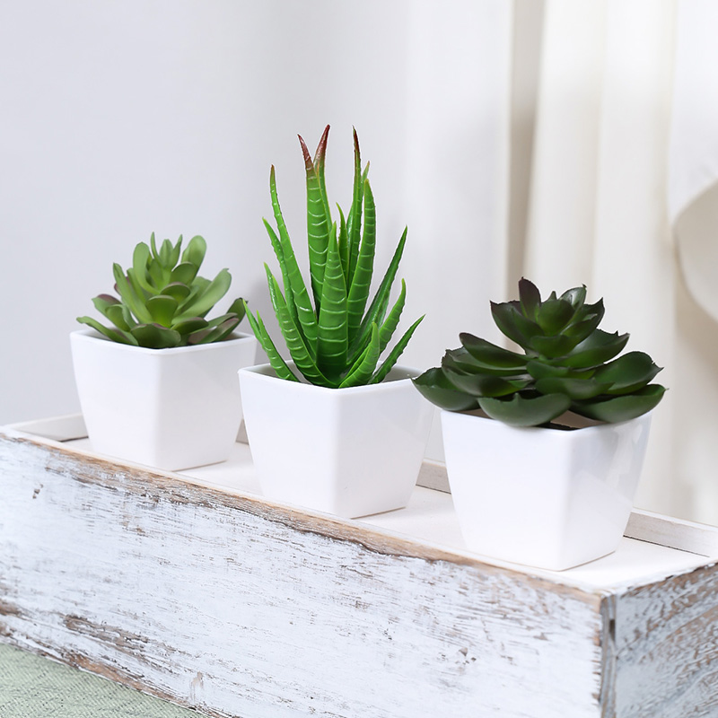 3PCS Artificial Evergreen Plan - Home Office Layout review and price