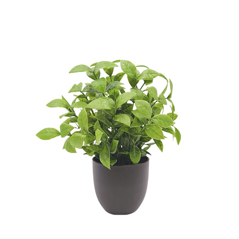 Simulation Green Plant Bonsai  - Home Office Layout review and price