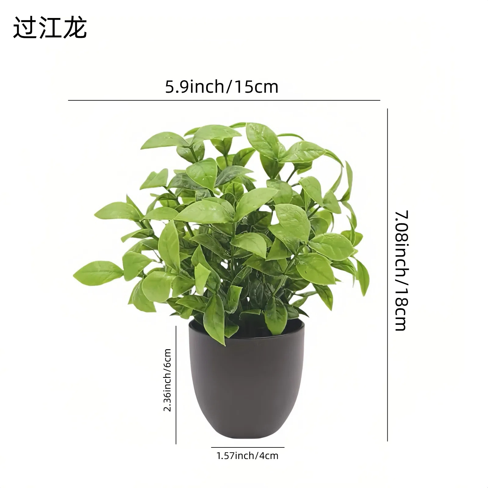 Simulation Green Plant Bonsai  - Home Office Layout review and price