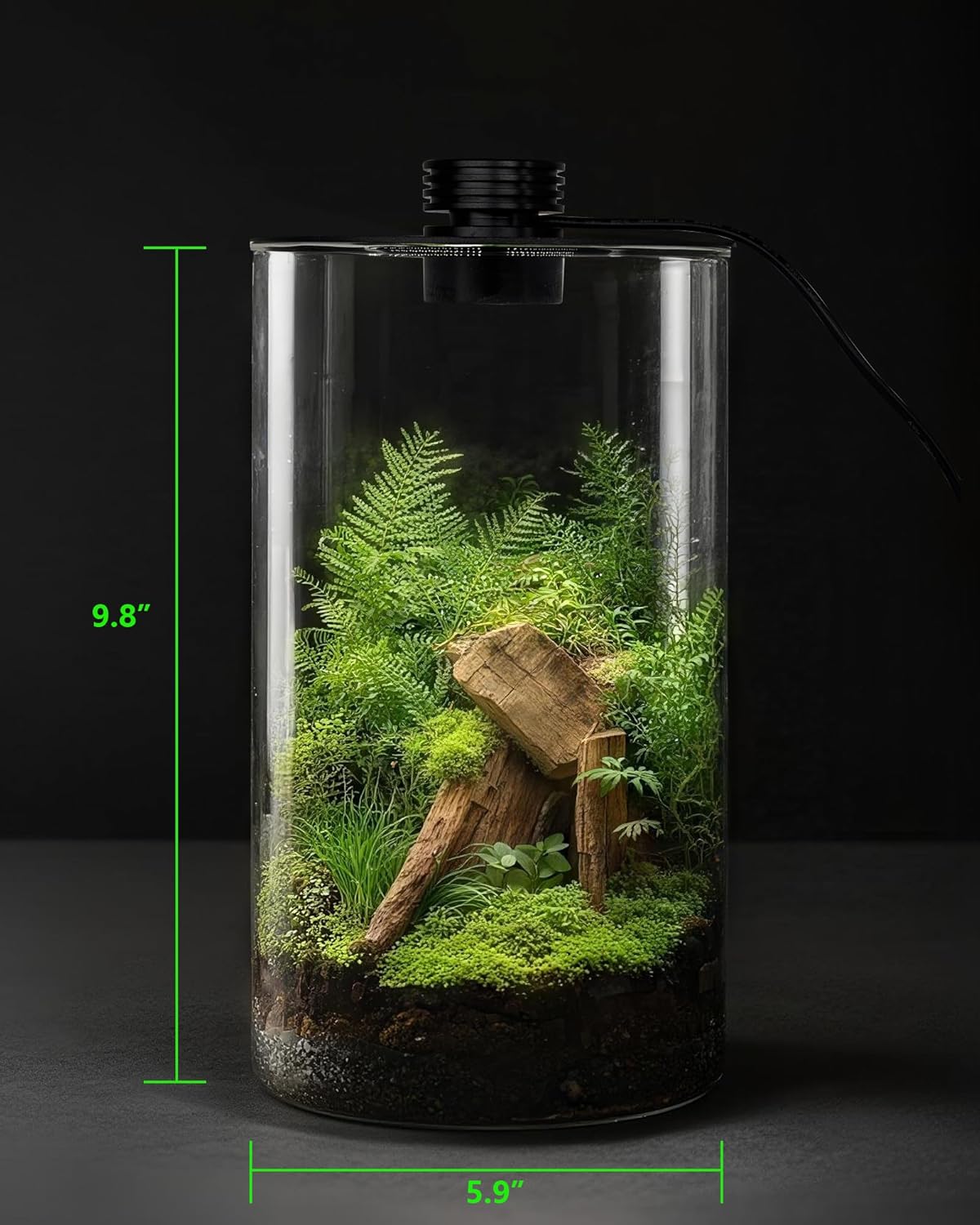 Indoor Glass Terrarium with Gr - Home Office Lamp review and price